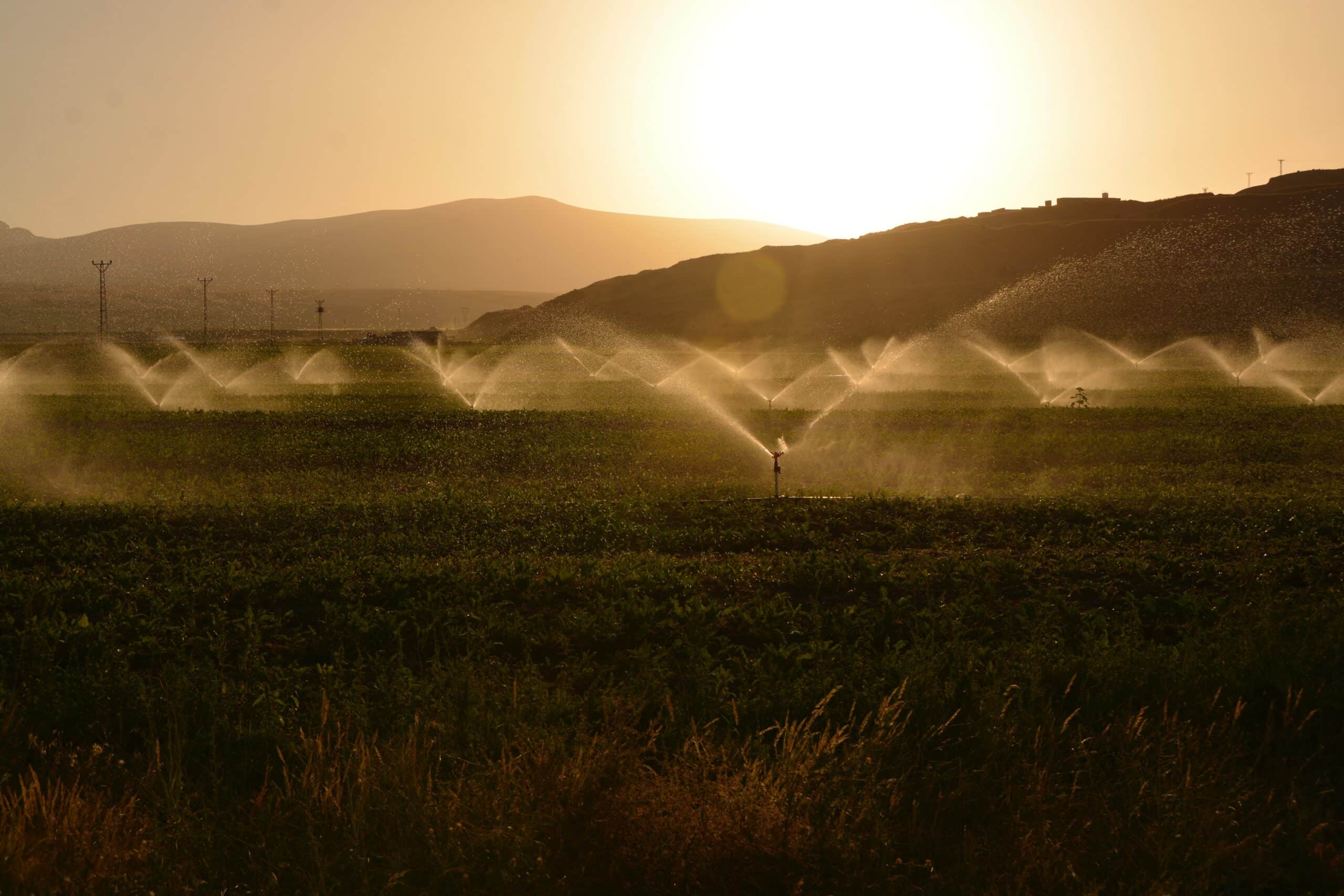 irrigação na agricultura